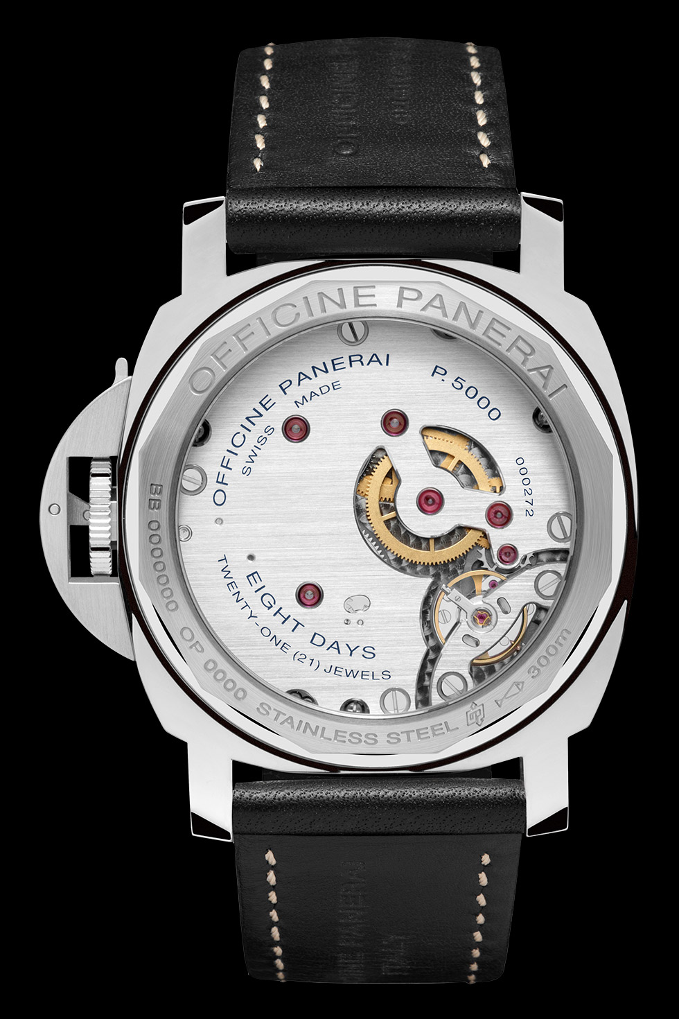 PAM00560
