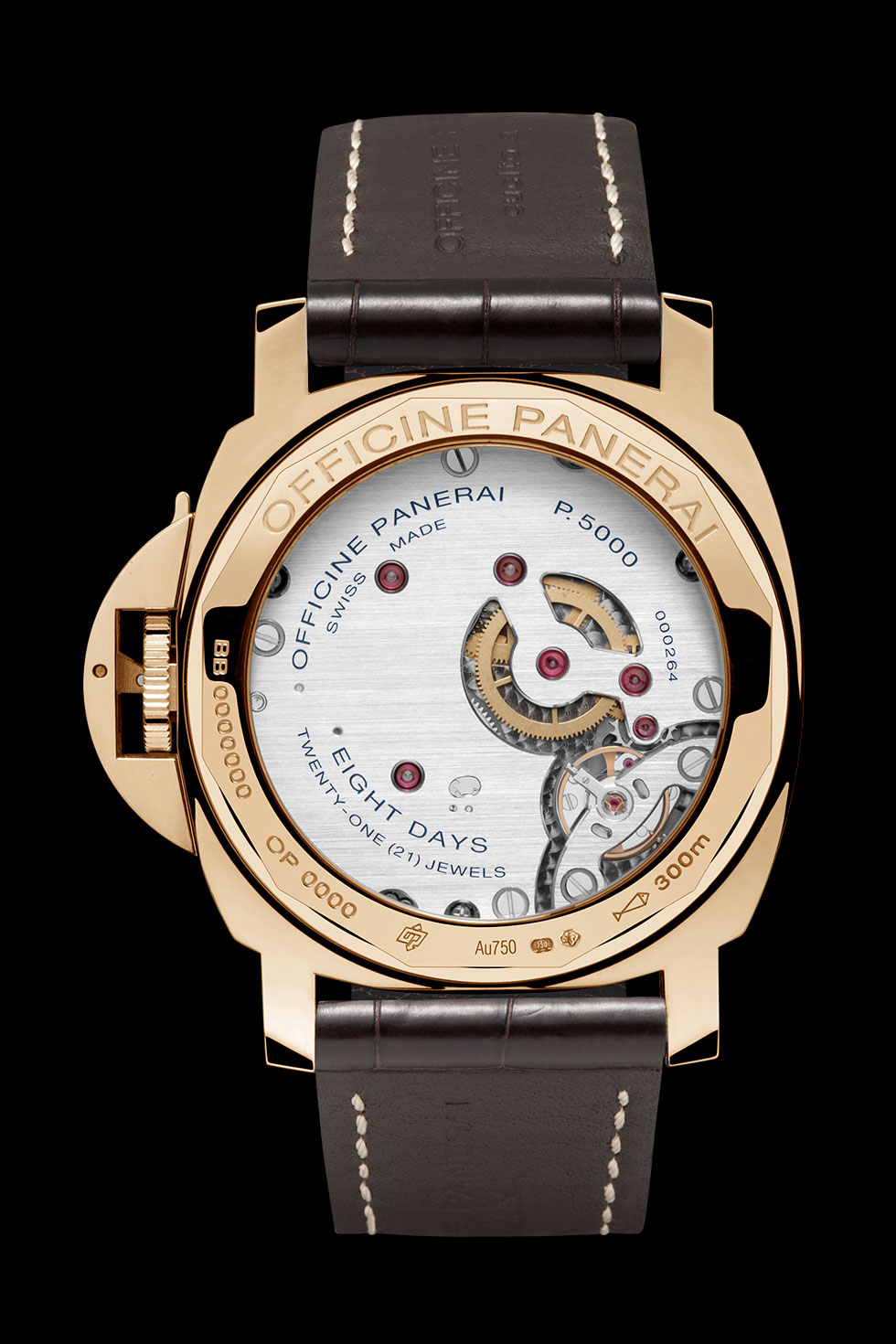 PAM00511