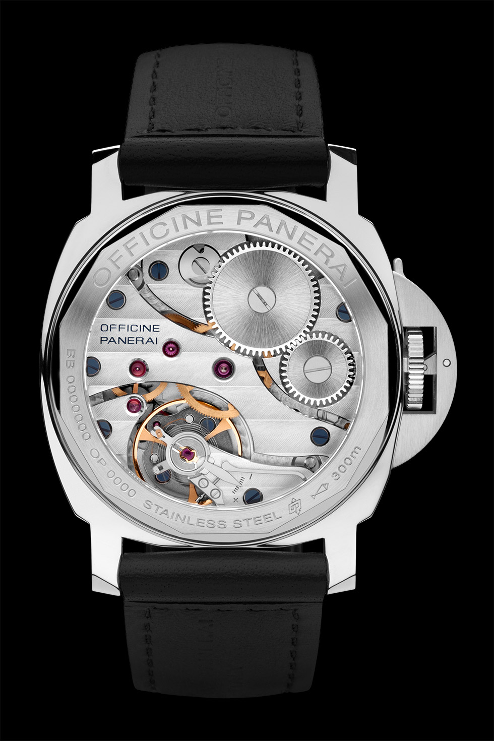 PAM00219