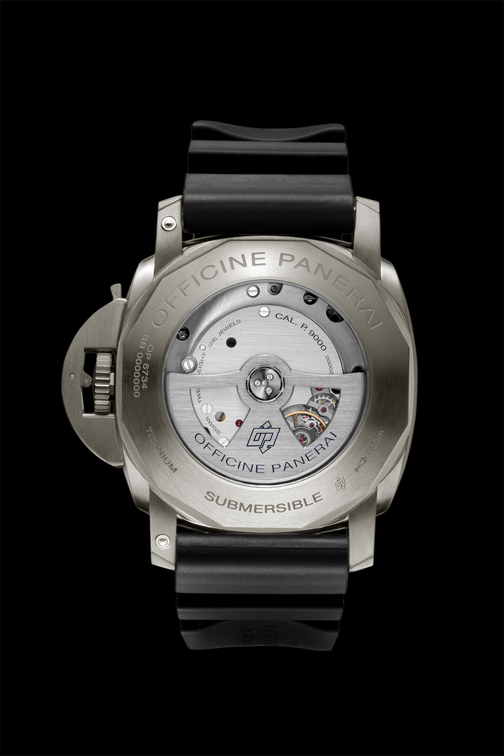 PAM00305