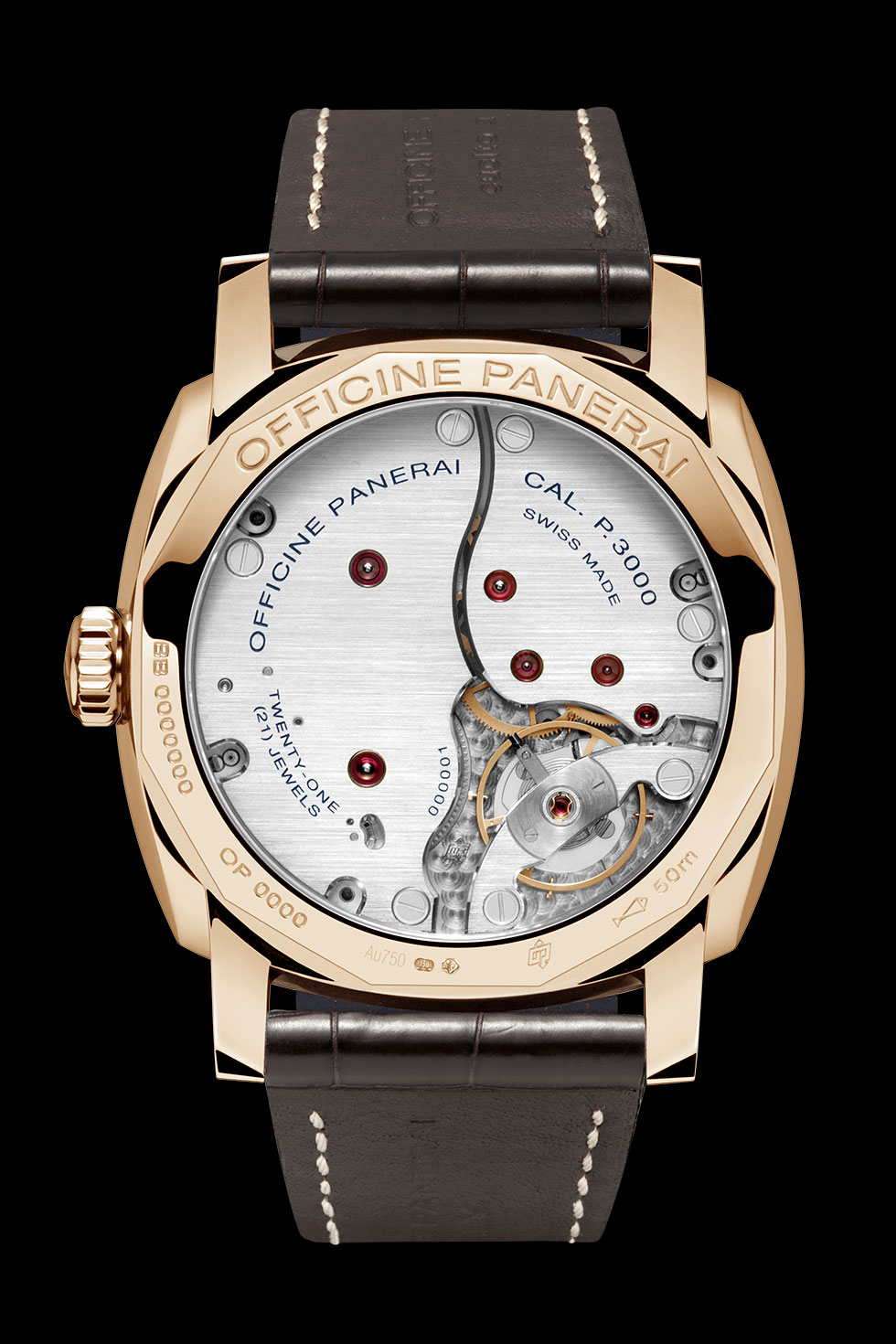 PAM00515