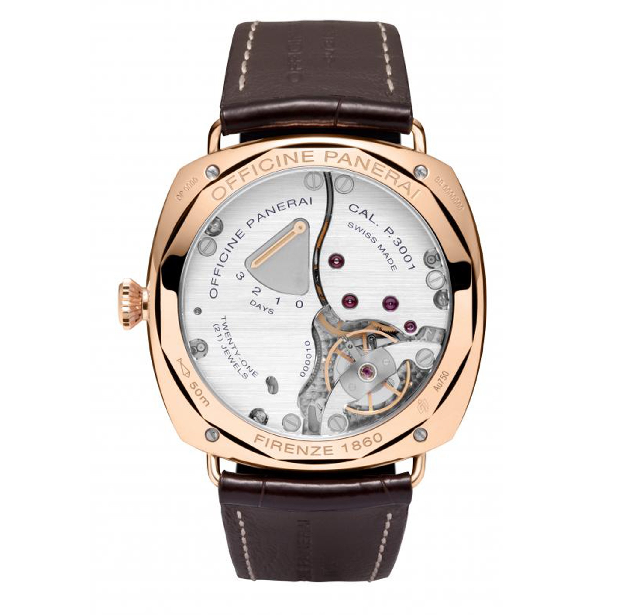 PAM00421