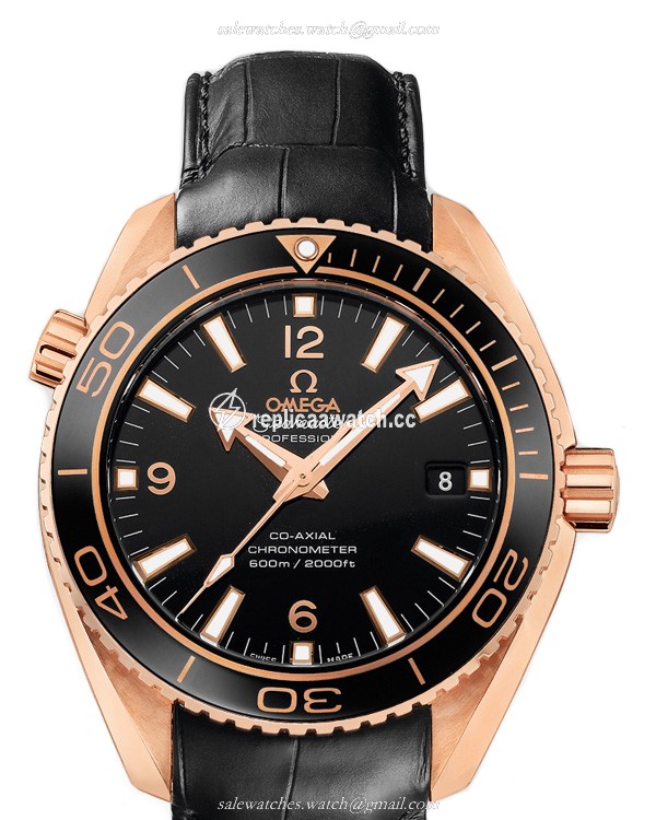 232.63.42.21.01.001 Omega Seamaster Planet Ocean 600M Omega Co-Axial 42 mm